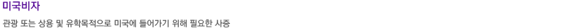 미국비자