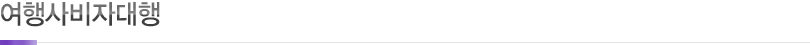 여행사 비자대행